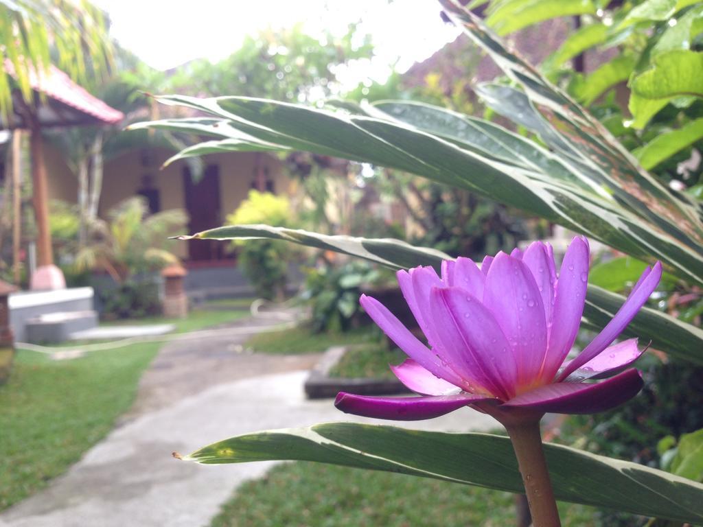 Dimuwa Ubud ห้อง รูปภาพ