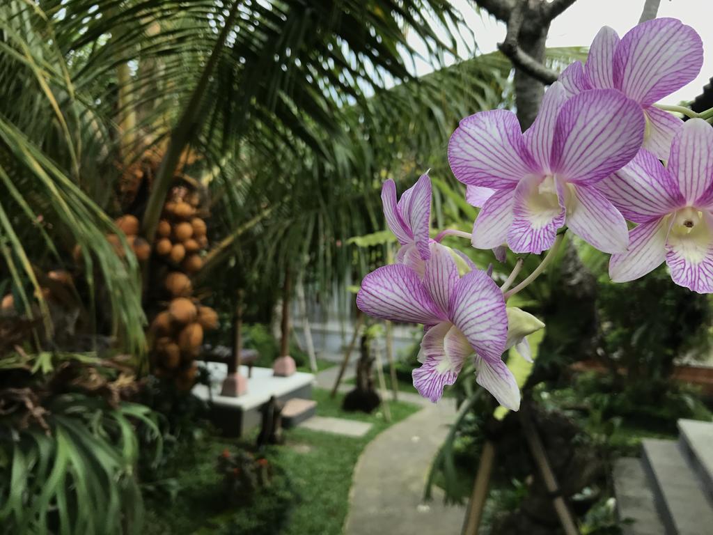 Dimuwa Ubud ภายนอก รูปภาพ