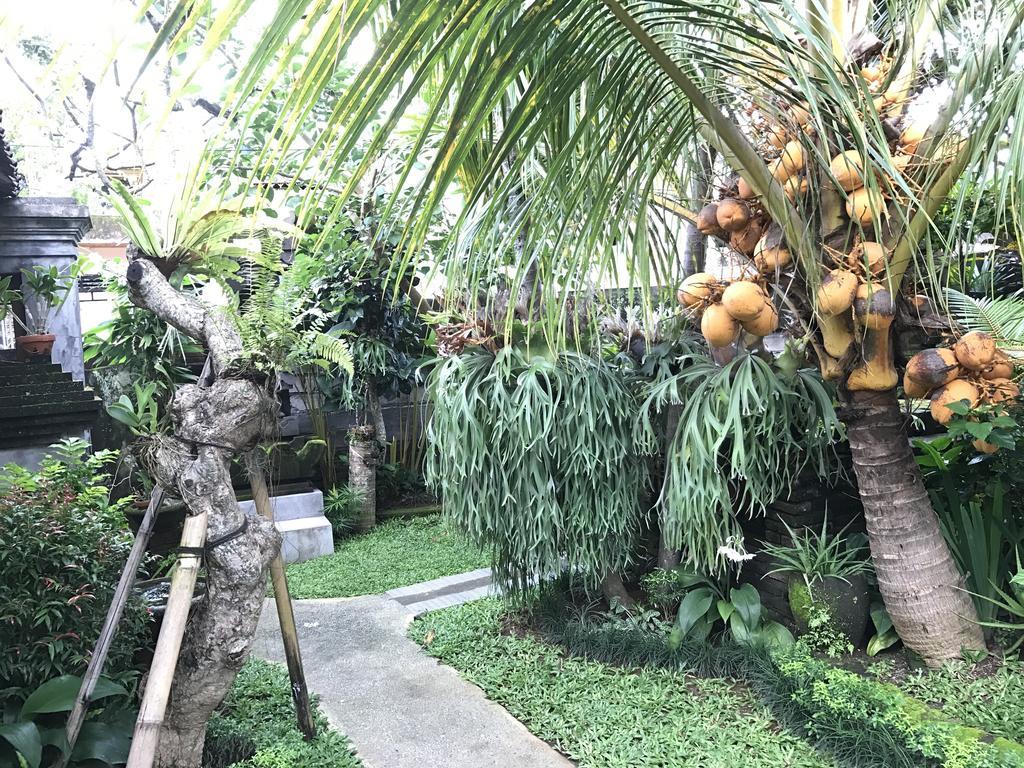 Dimuwa Ubud ภายนอก รูปภาพ