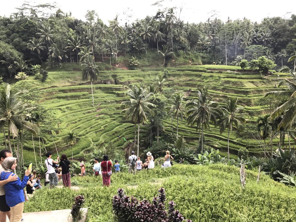 Dimuwa Ubud ภายนอก รูปภาพ